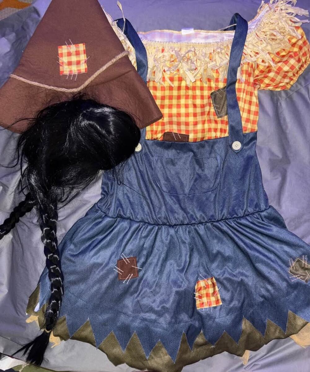 Adult Women’s Wizard of Oz Scarecrow Costume (hat, wig, and dress) Size Small